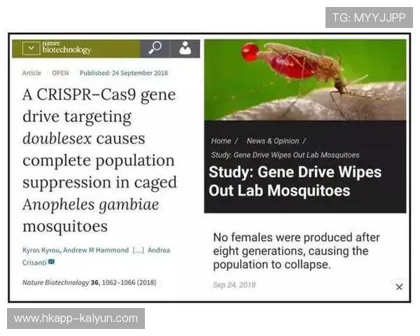 NBA赌博丑闻警示：职业体育面临的伦理挑战与风险管理